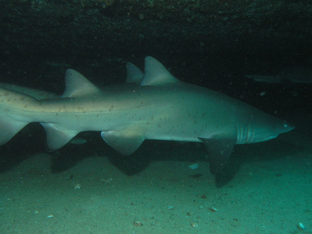 e128fd01-f175-4921-a1ca-b0e62cbd1b31