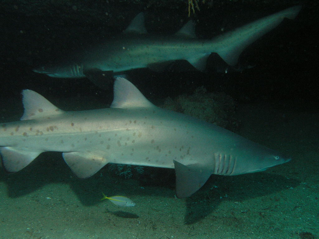 3d20ea99-4577-4480-8394-0c6fe2ba0714