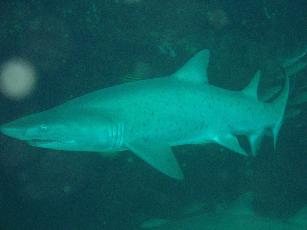 dc83292d-3fda-4aff-905b-1fd35349cc17