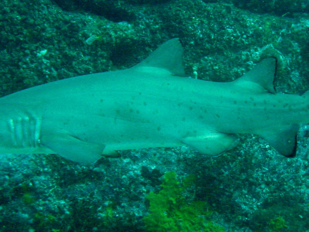 2eca11a9-78c6-4718-b229-b08414770d75