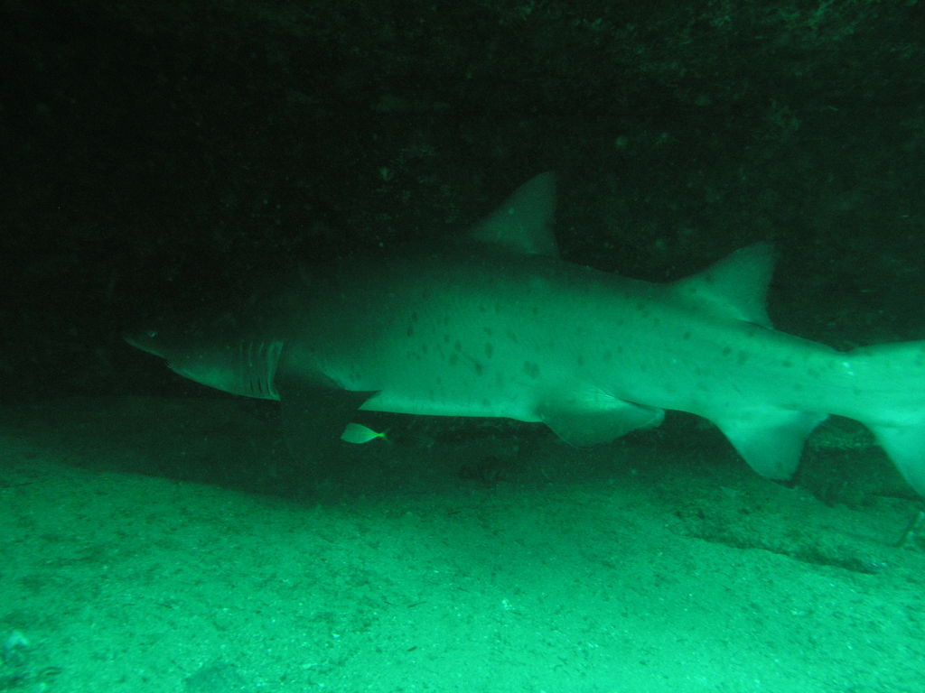 b1fba666-b927-4d21-b4b1-e55ccacd35f8