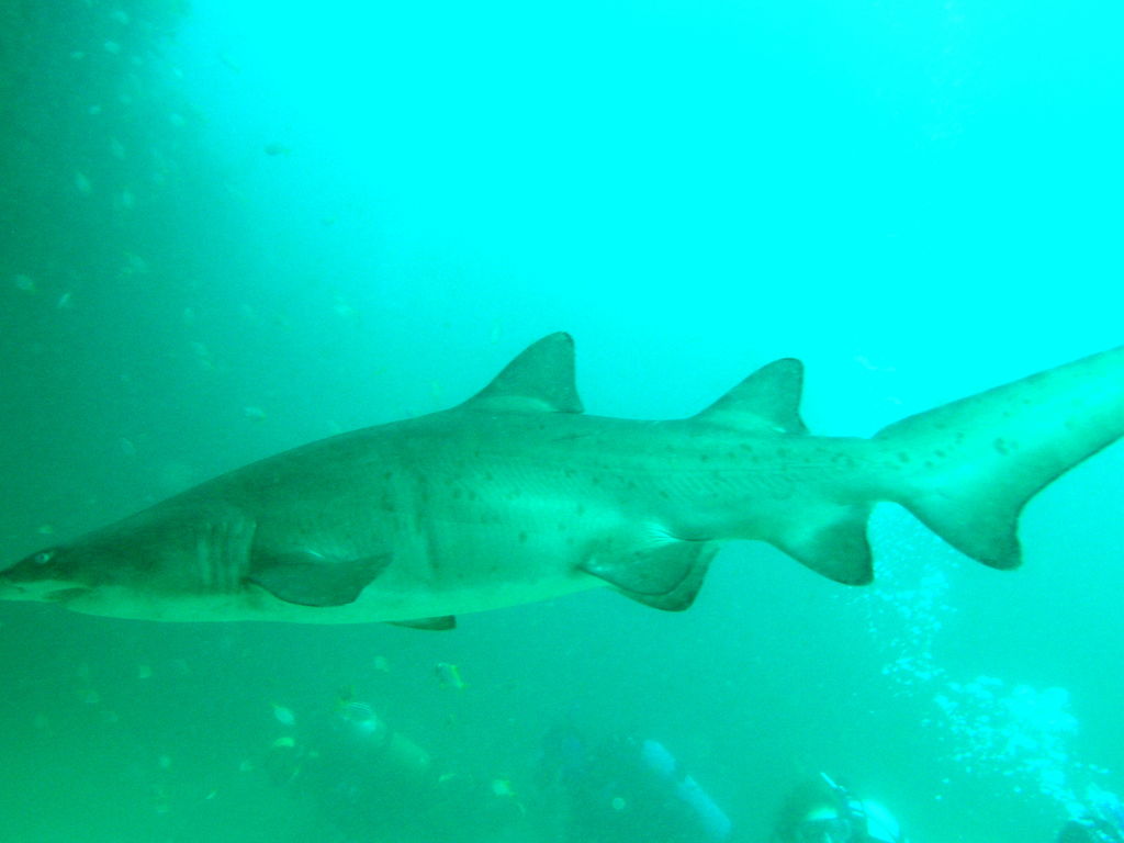 2eca11a9-78c6-4718-b229-b08414770d75