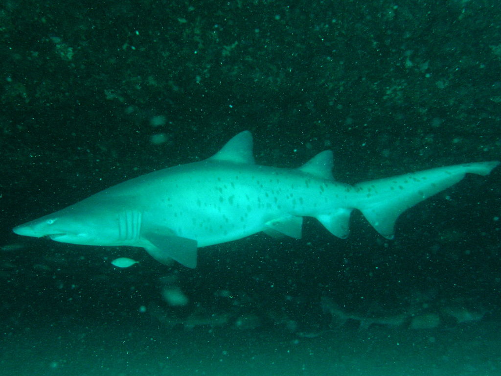 36f00124-017d-4871-8005-7984cc83a822