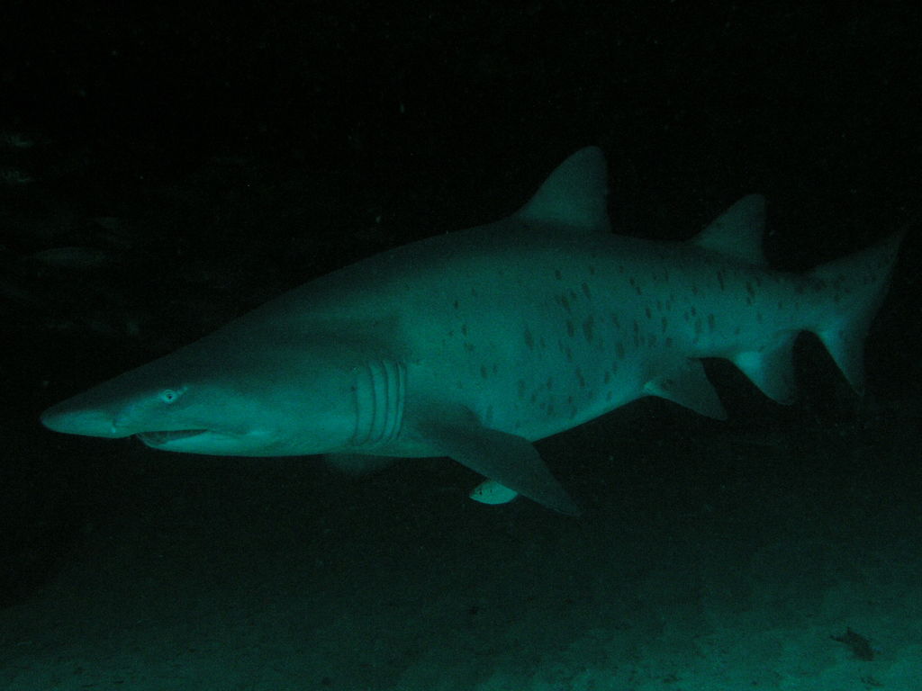 36f00124-017d-4871-8005-7984cc83a822