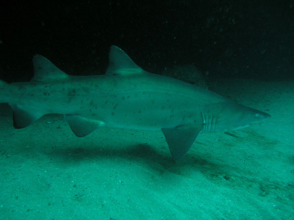 b1fba666-b927-4d21-b4b1-e55ccacd35f8