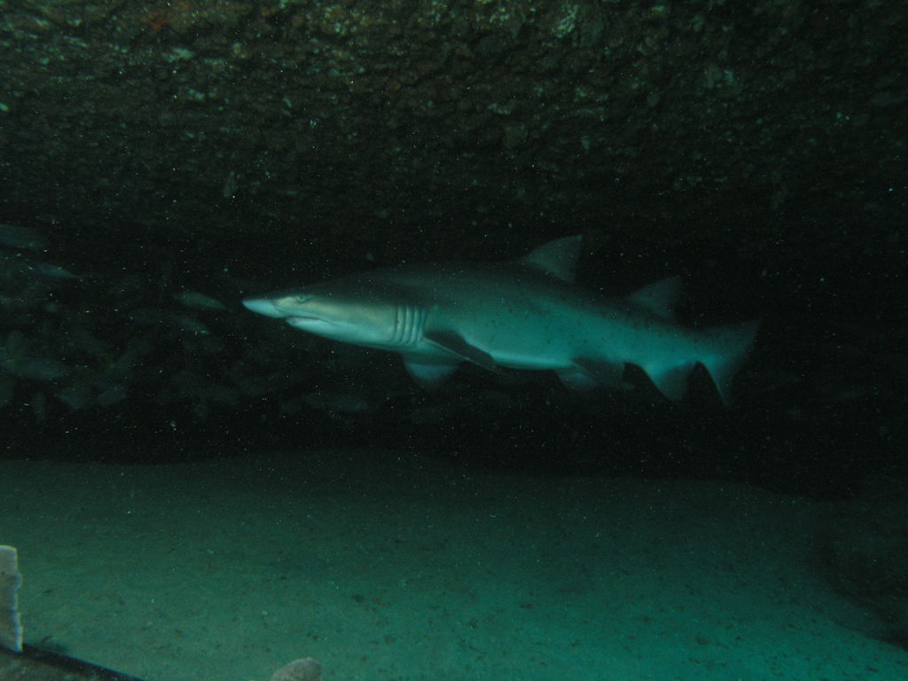 9a4a2c44-0f3a-445c-a439-234ccab3f89e