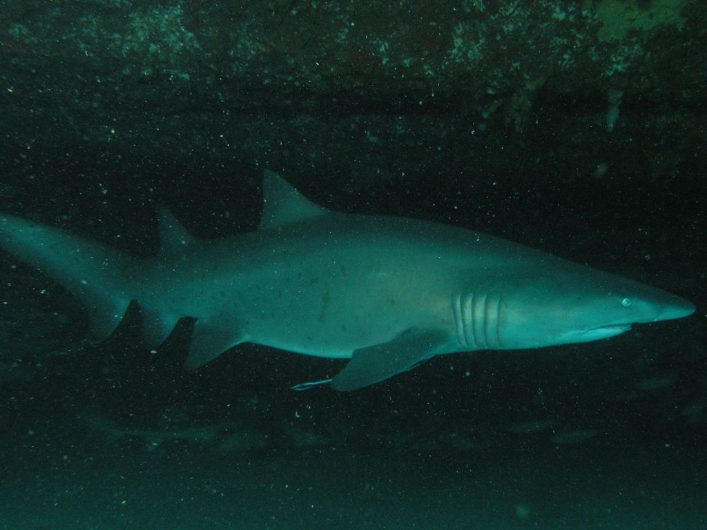 2eca11a9-78c6-4718-b229-b08414770d75