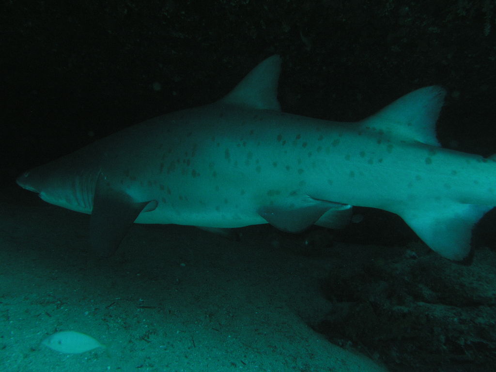 60ceb3f8-ee3d-4a0c-a24d-26321fa3cfab