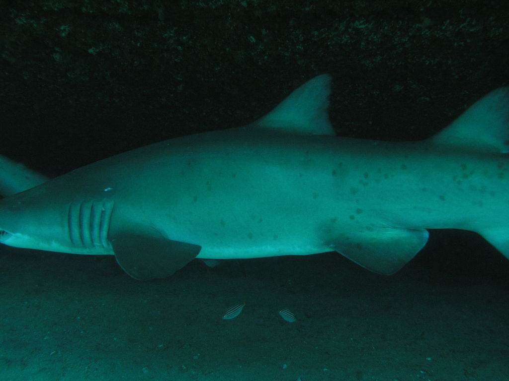 b1850550-673a-4698-9ba9-175da76e4134