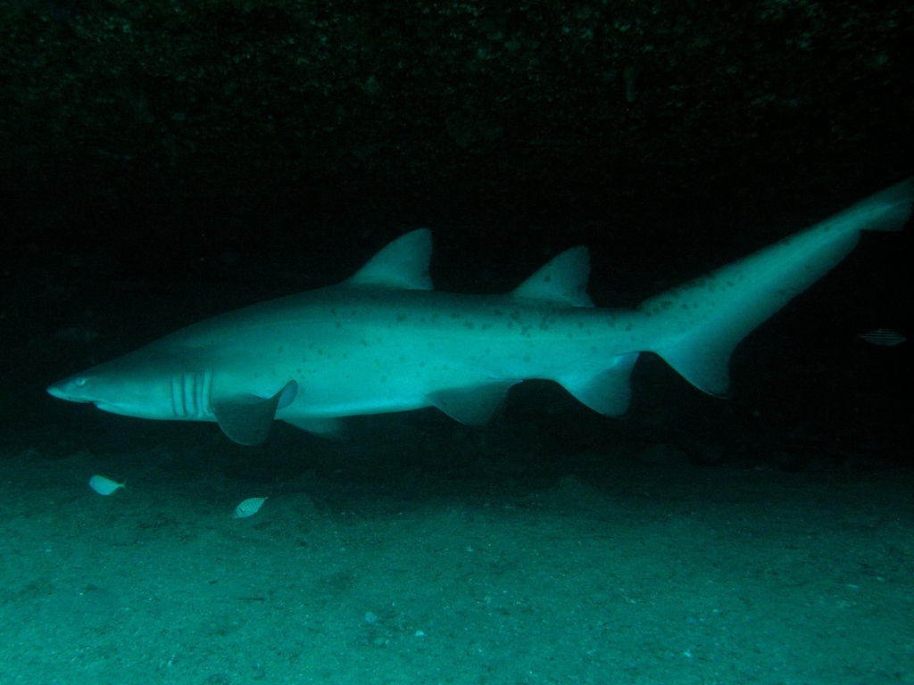 9a4a2c44-0f3a-445c-a439-234ccab3f89e