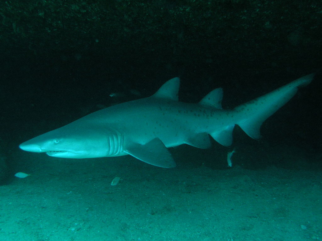 9a4a2c44-0f3a-445c-a439-234ccab3f89e