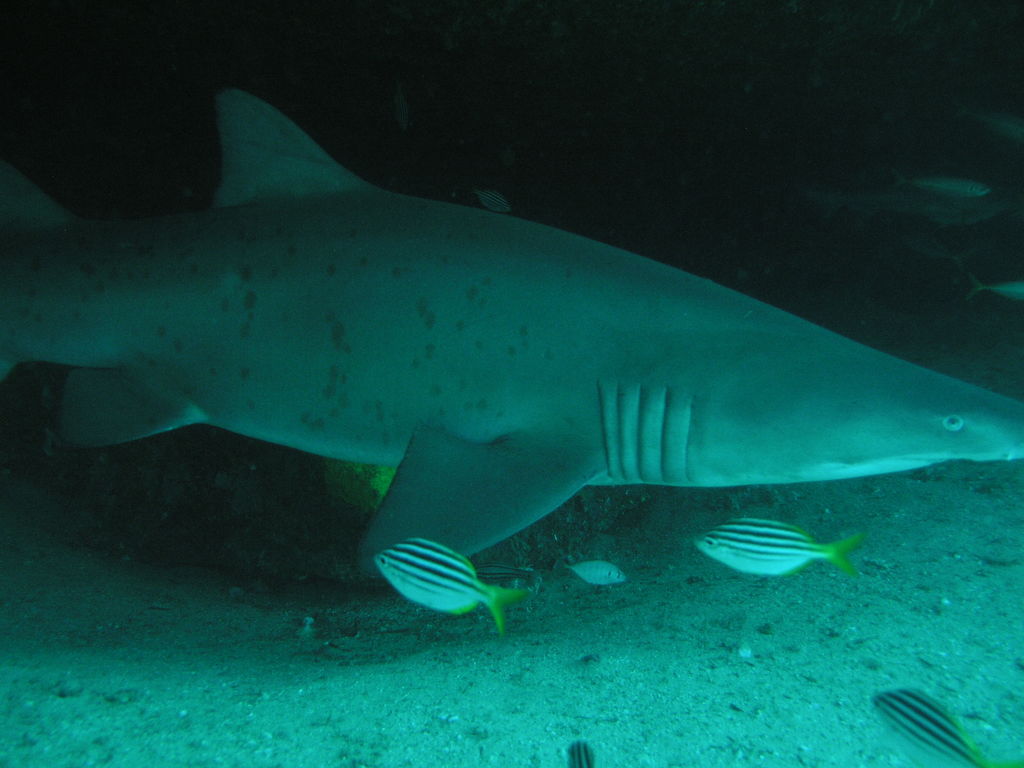 24fbf5b5-8dd7-4c2d-b708-b6a5ee829582