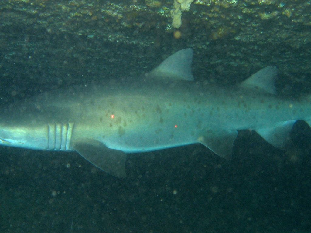 6c5e2b83-4bef-4abf-b7fa-6314667cd705