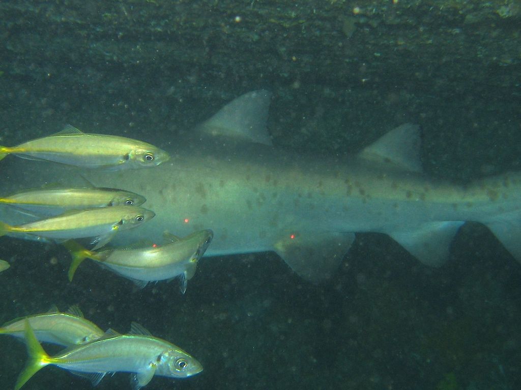 6c5e2b83-4bef-4abf-b7fa-6314667cd705