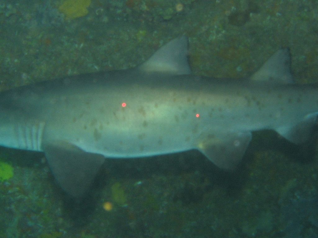 6c5e2b83-4bef-4abf-b7fa-6314667cd705