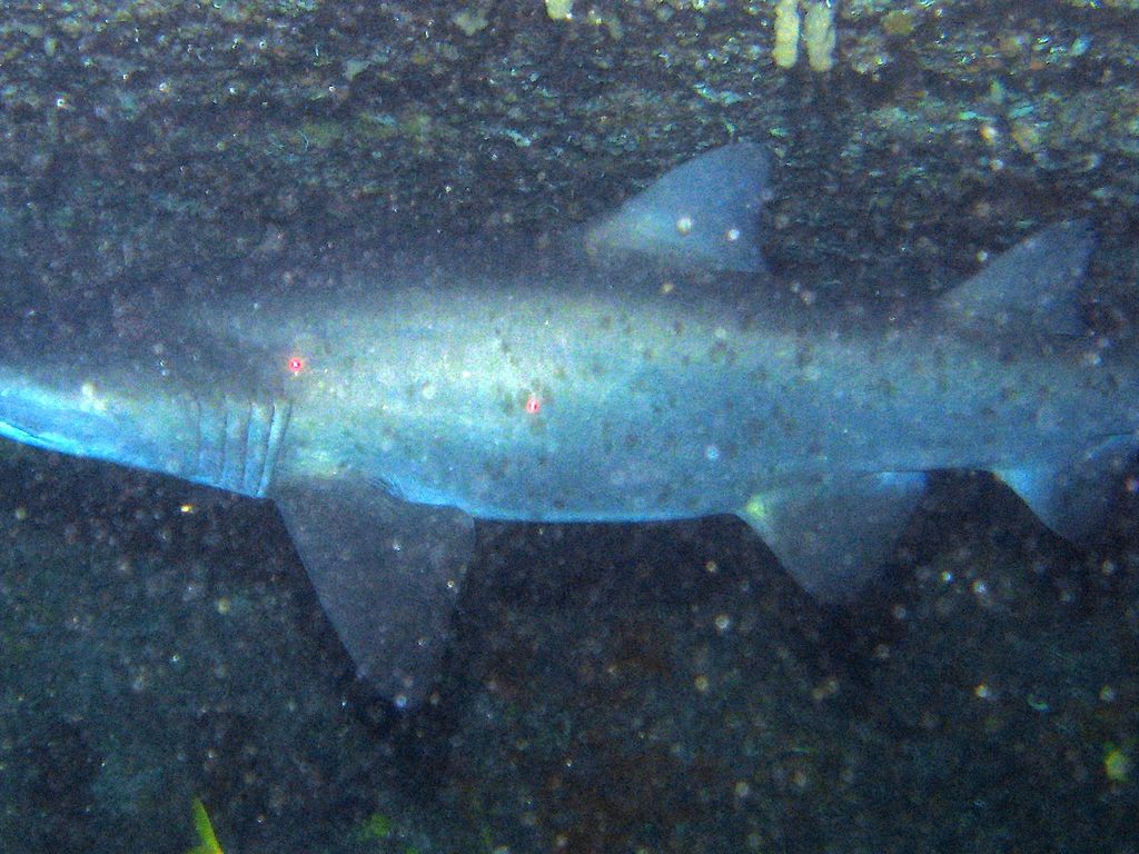 829189f2-999a-42b8-b225-9c9a59beadfe