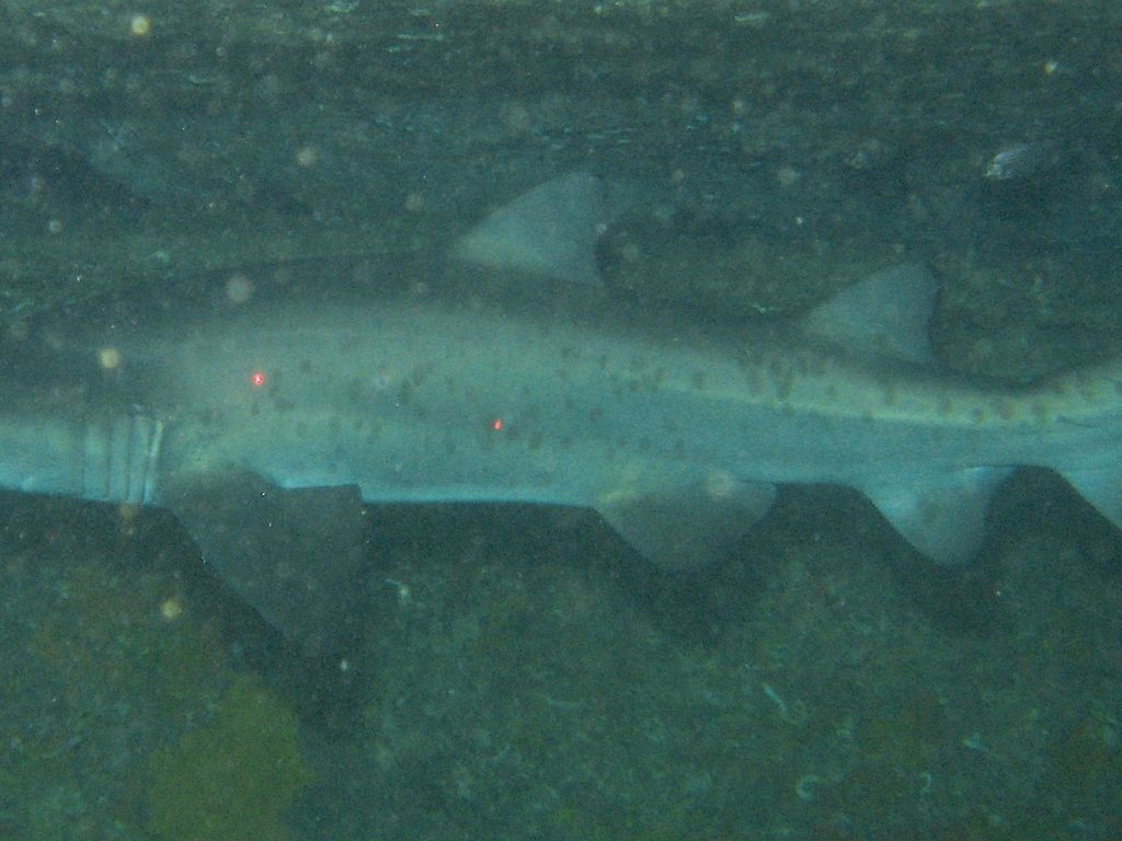 fbd520e0-f11b-41da-916f-07c498002e8c