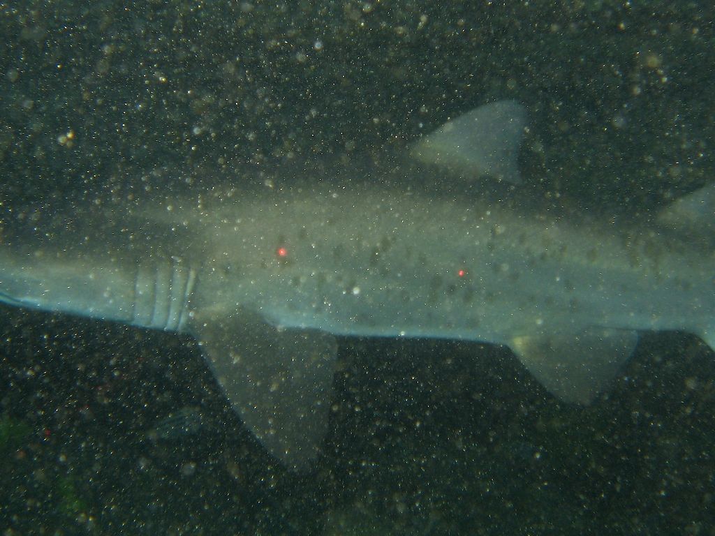 fbd520e0-f11b-41da-916f-07c498002e8c