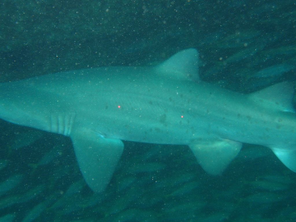 f171d751-6911-4b63-aef7-960f66a5f3bc