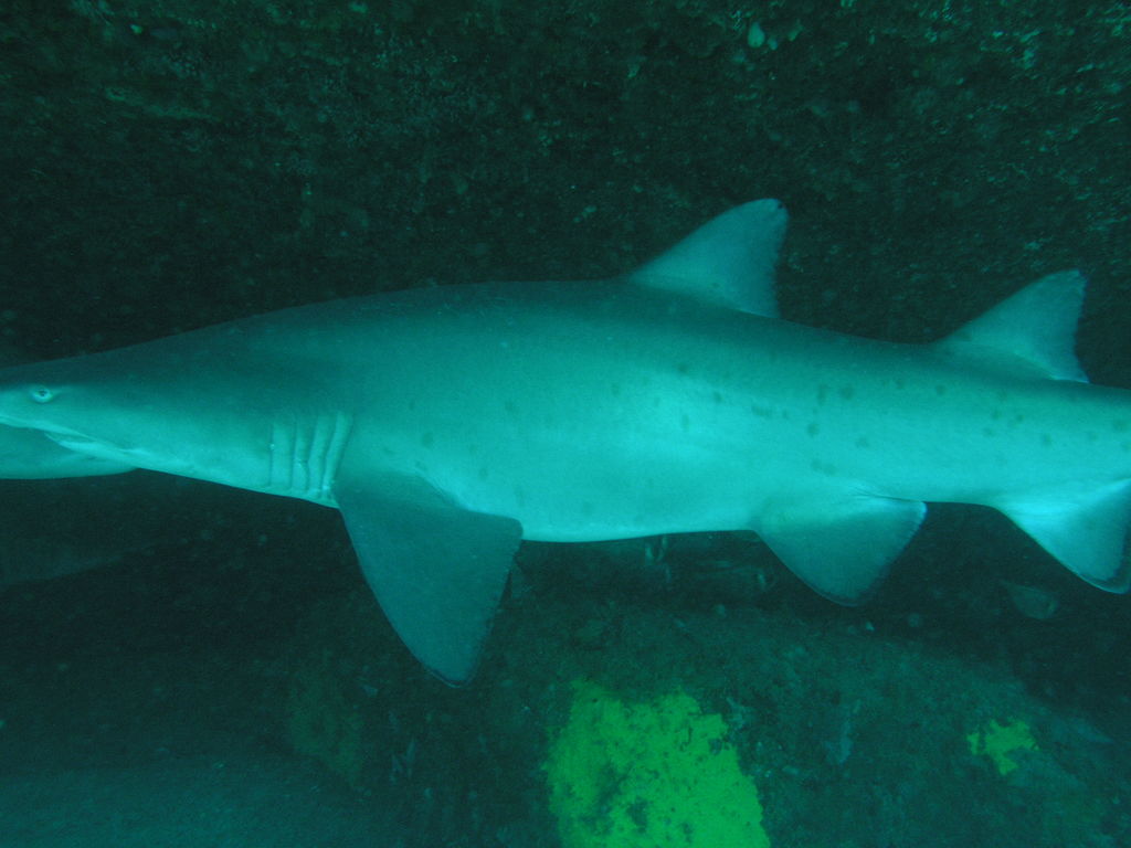 e1df262a-e096-4e45-8746-3c0bec0532e4