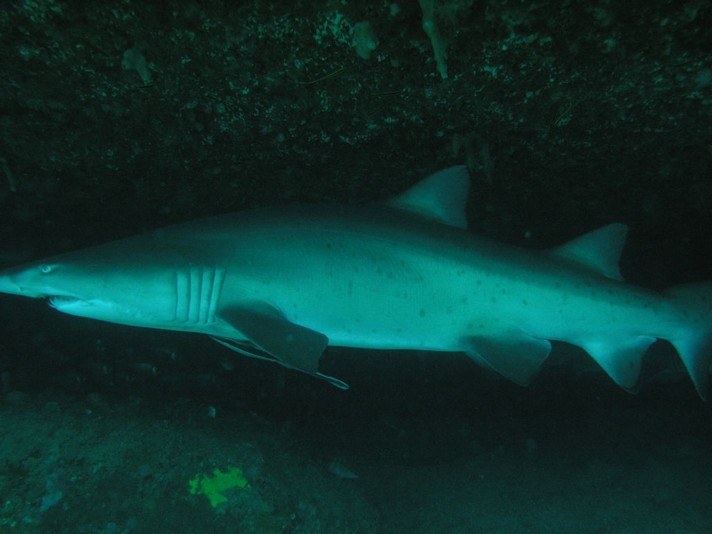 2eca11a9-78c6-4718-b229-b08414770d75