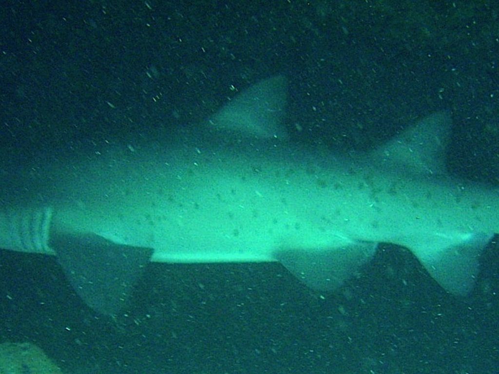 9a4a2c44-0f3a-445c-a439-234ccab3f89e