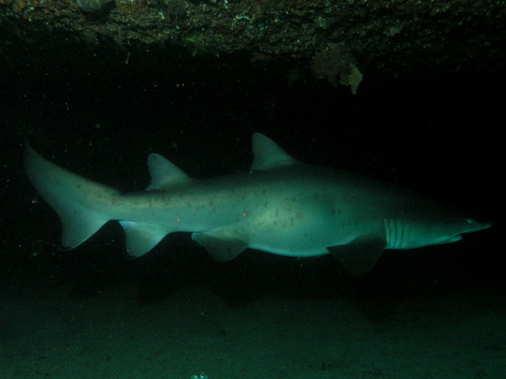 2eedc3f3-fc55-4c5d-9ec1-366b596368d5