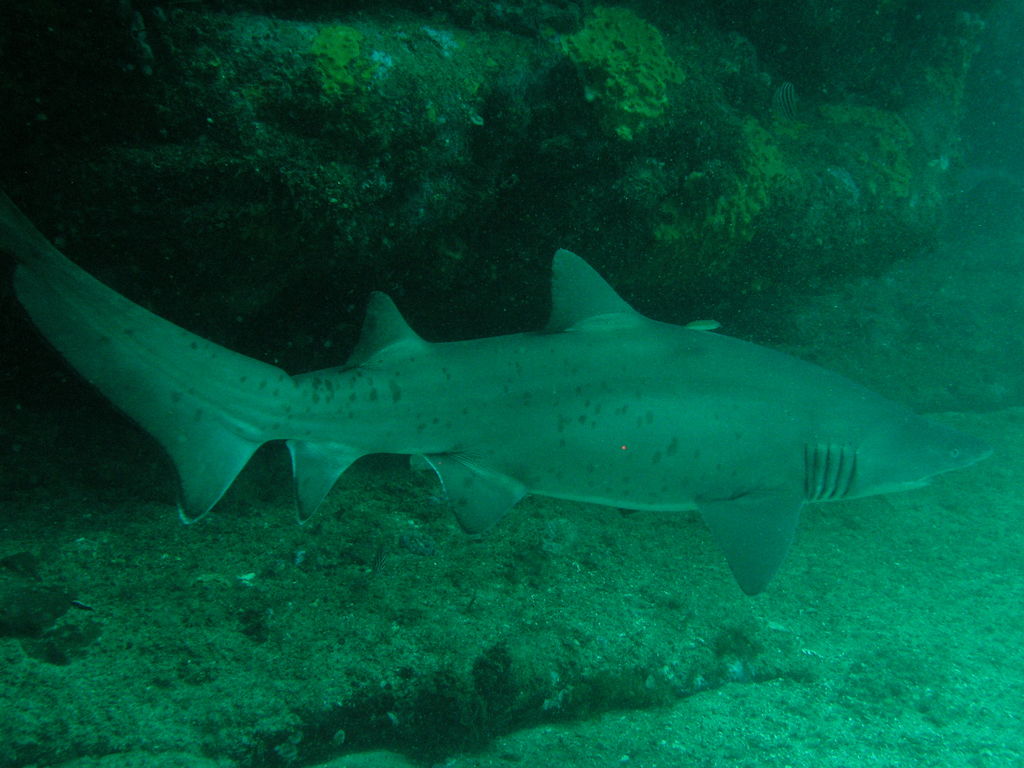 305ce611-1f6d-44f5-9a46-b5534ecc18fd