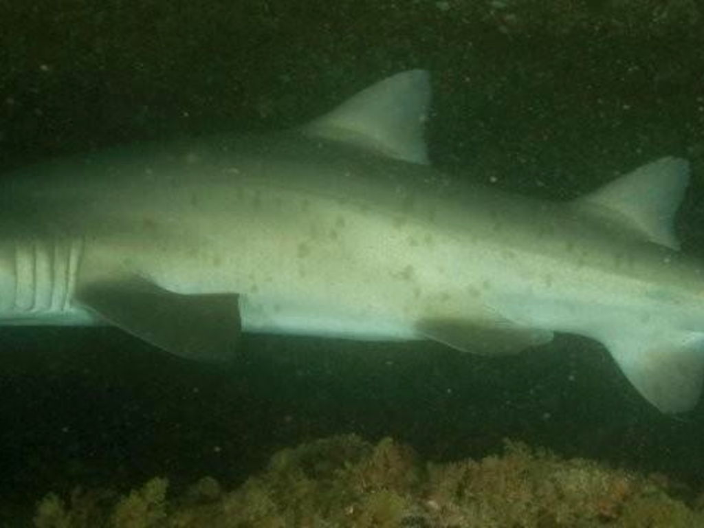 9f74abb2-aba2-4639-bde6-15637646969d