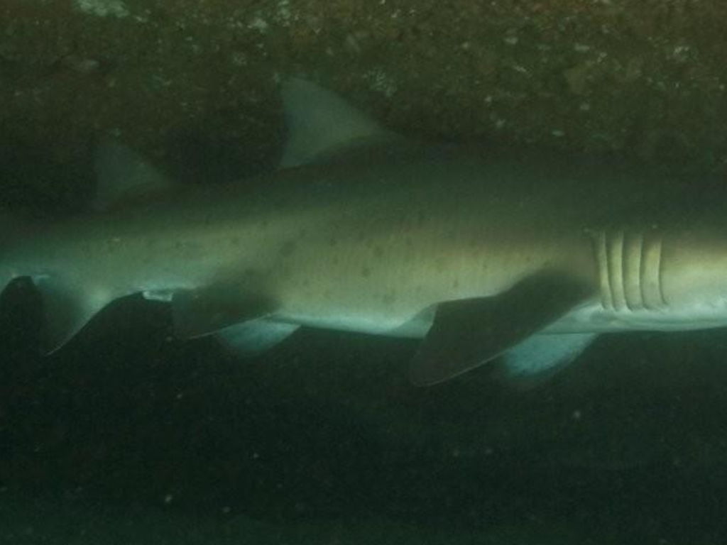 2069e828-fddc-4170-9c67-25ce00a64f09