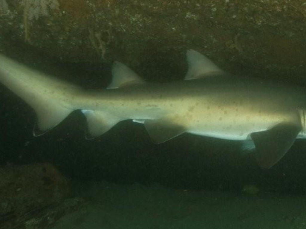 2069e828-fddc-4170-9c67-25ce00a64f09