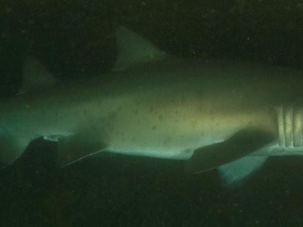 2069e828-fddc-4170-9c67-25ce00a64f09