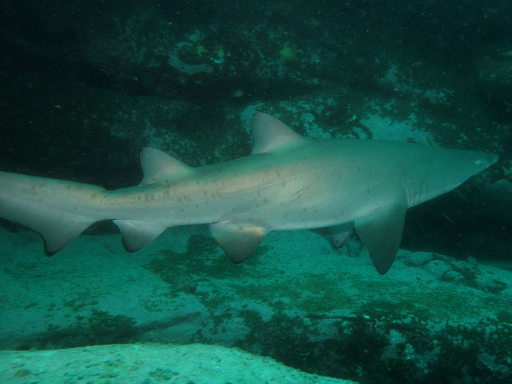 026832fa-2120-4b0f-a498-829b9e29e686