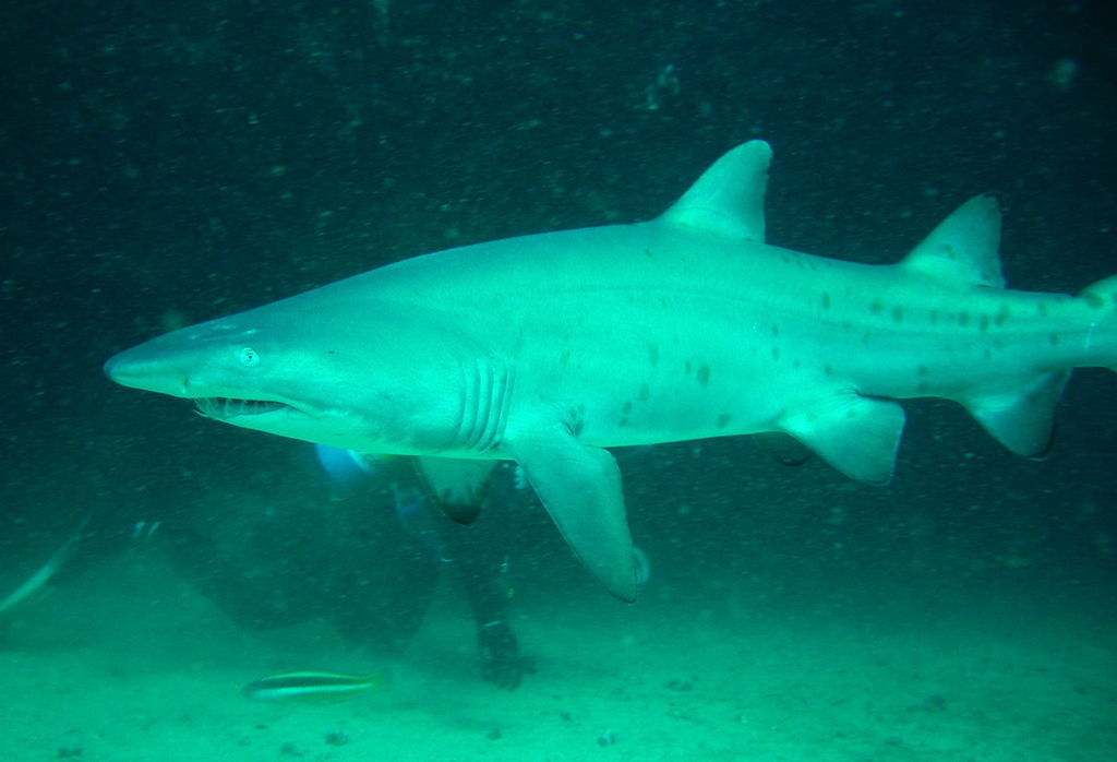 3fa408bc-407c-47ea-af7d-252c34bc8d3d