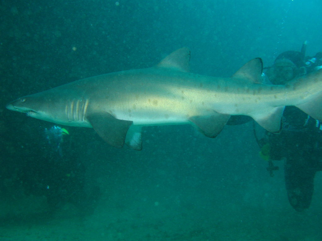 3fa408bc-407c-47ea-af7d-252c34bc8d3d