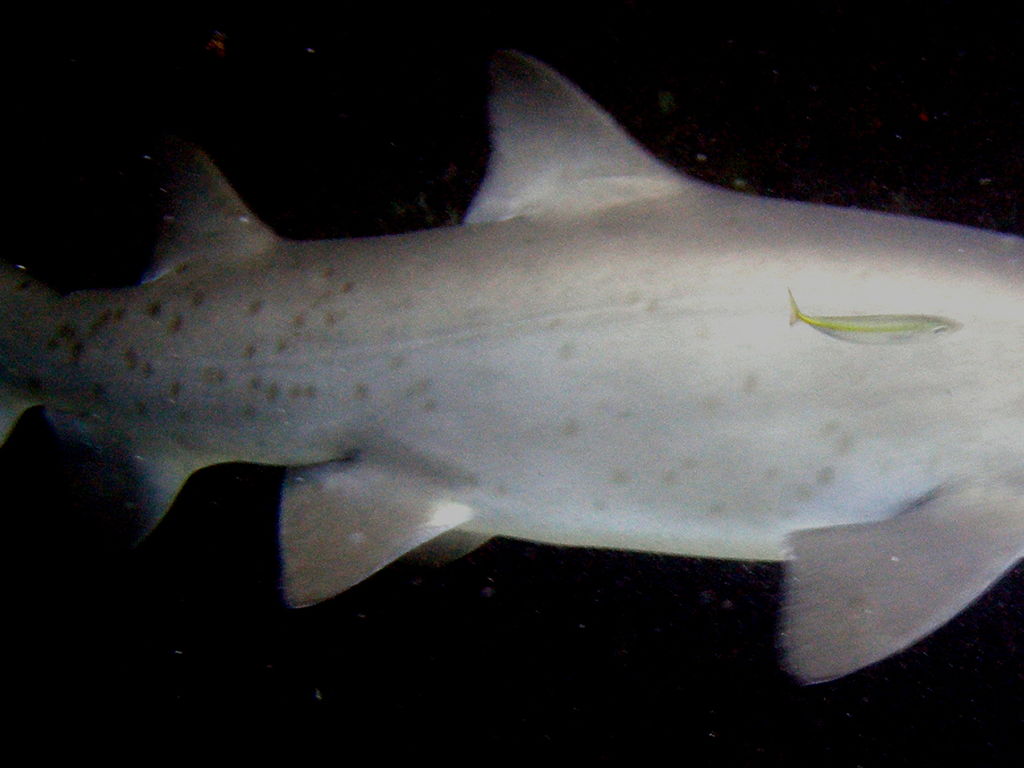 3d4a659b-66ae-4d73-b9bf-4a0c3b753f03