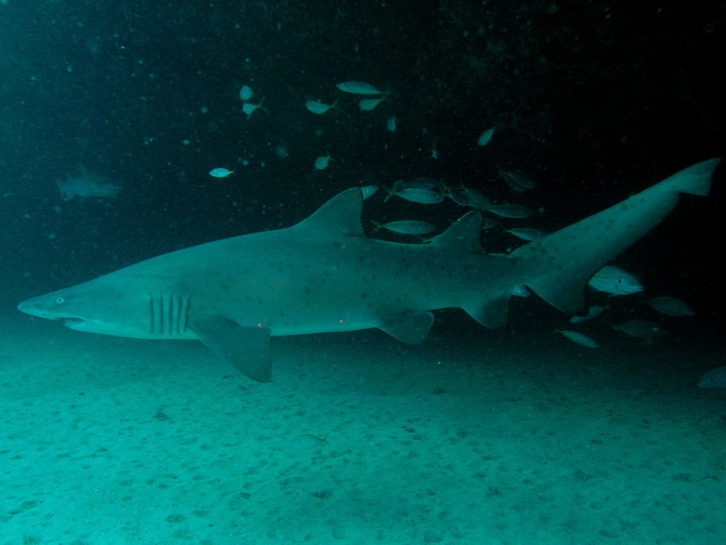 9f74abb2-aba2-4639-bde6-15637646969d