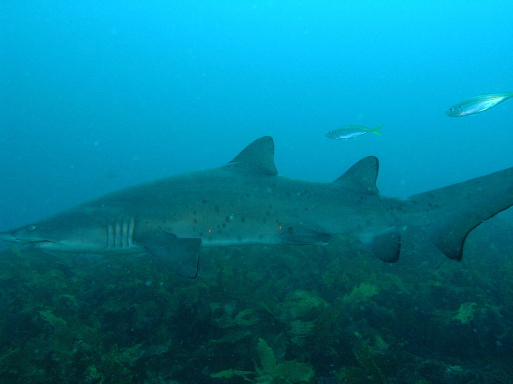 cfab9d1a-e97c-4fba-aec2-86fa77a3f96f