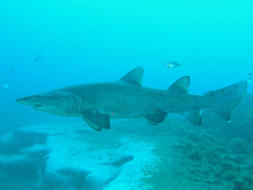 3fa408bc-407c-47ea-af7d-252c34bc8d3d