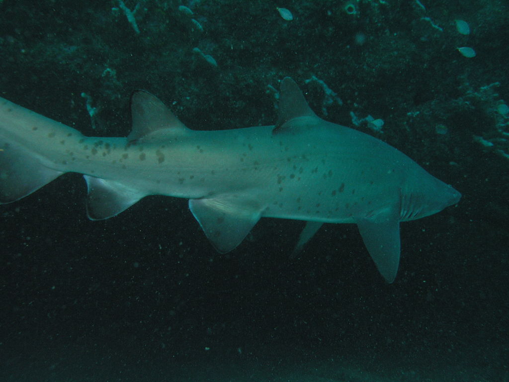 305ce611-1f6d-44f5-9a46-b5534ecc18fd