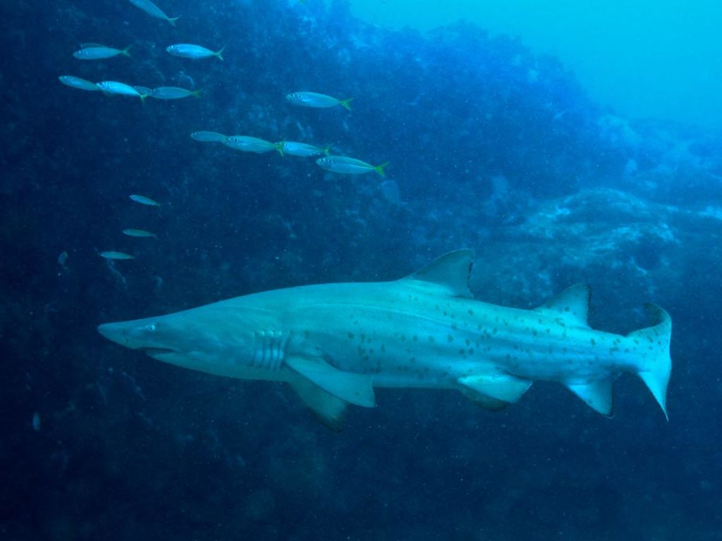 abcb04d1-5464-4e92-b0a2-51e2210a1faa