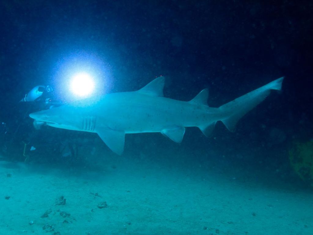 893168b3-33a9-4489-84b0-33bc77b0a91e