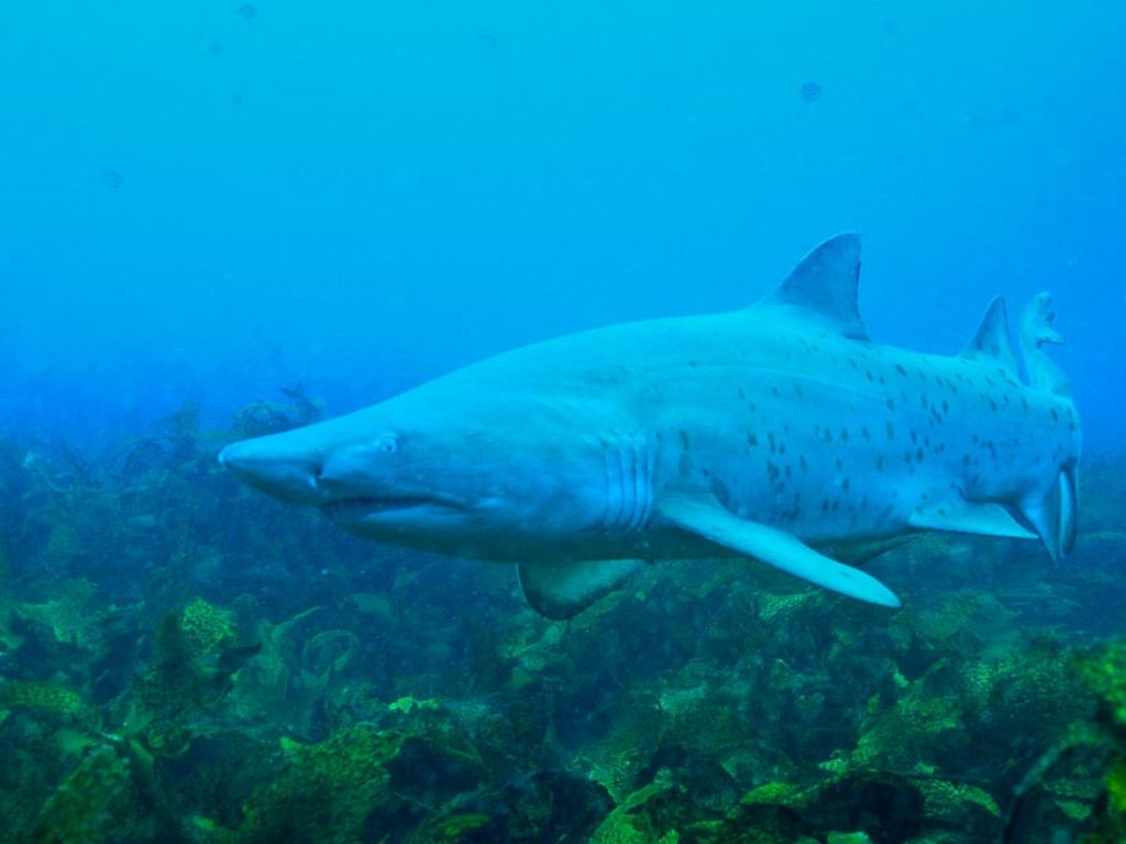 abcb04d1-5464-4e92-b0a2-51e2210a1faa