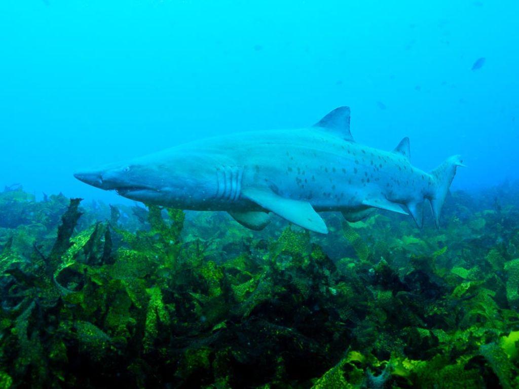 abcb04d1-5464-4e92-b0a2-51e2210a1faa