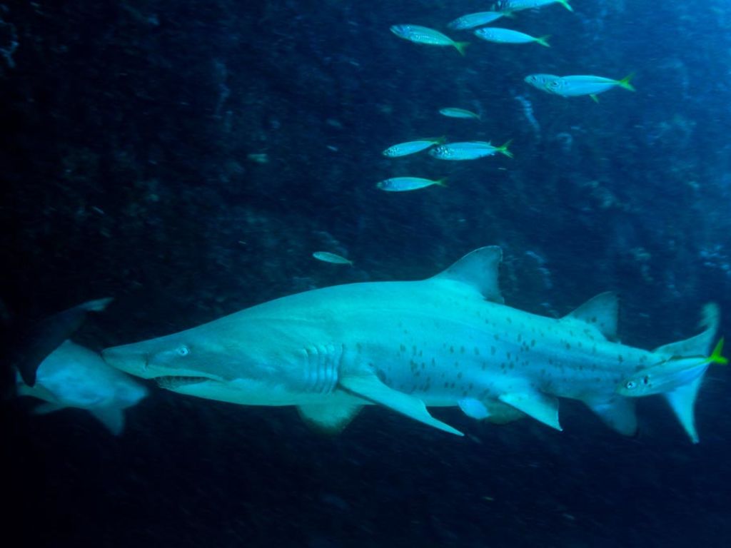 abcb04d1-5464-4e92-b0a2-51e2210a1faa