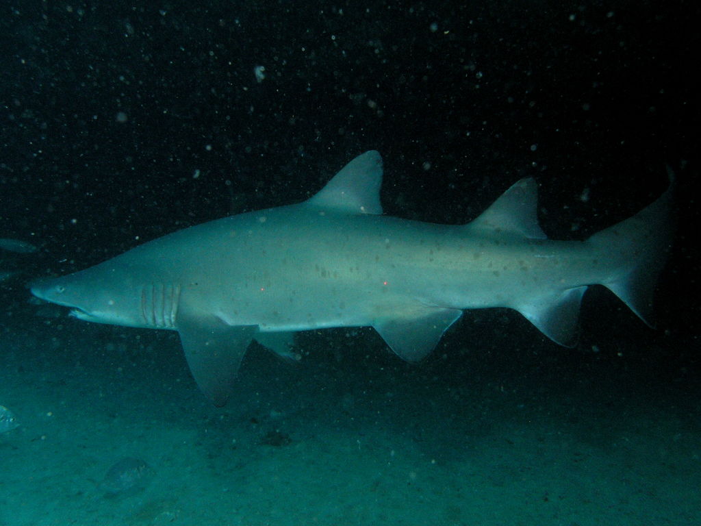 893168b3-33a9-4489-84b0-33bc77b0a91e