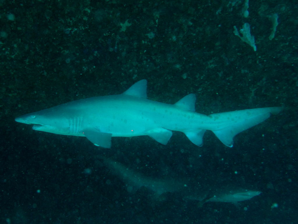 3fa408bc-407c-47ea-af7d-252c34bc8d3d