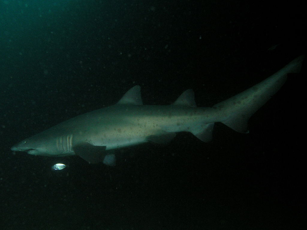 3fa408bc-407c-47ea-af7d-252c34bc8d3d