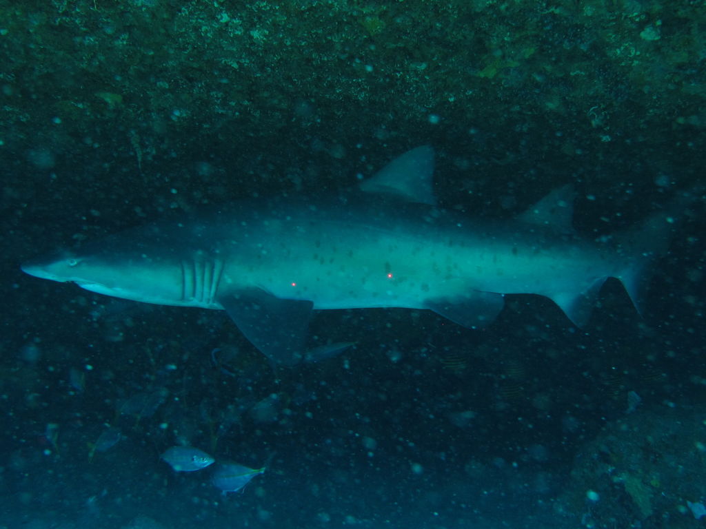 ee9b603b-26c8-4e58-a06c-7a387f5c283d