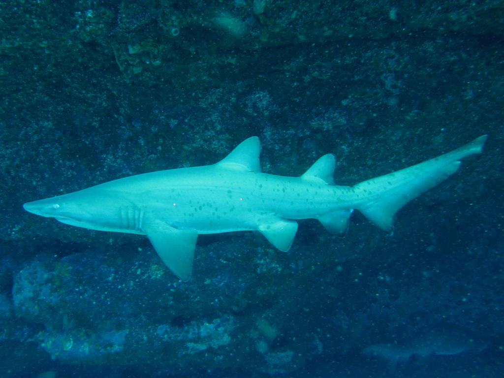 8fde32a6-b9fc-4f71-8e40-d839f6dbbafb